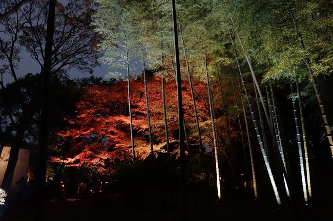 東京散歩2017（皇居一般公開＆六義園：紅葉）