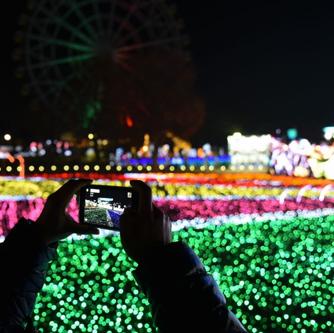 遊園地・動物園・プール（夏季限定）が楽しめる東武動物公園。<br /><br />ただいまウィンターイルミネーションも開催中！<br /><br />久しぶりに逢う小学校からの友人と、風もなく穏やかな日曜日を朝から晩まで楽しみました。