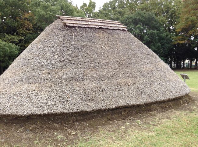 縄文時代の遺跡がある水子貝塚公園です。池袋より東武東上線 みずほ台駅よりバスです。<br />竪穴式住居の再現された家屋と、資料館が併設されています。<br />