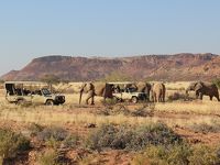 アフリカ旅行記・野生動物と大自然に触れる旅（その5：ダマラランド）