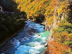 上信越-8　秋山郷2/6　前倉橋付近：紅葉*渓谷の美　☆栃の実食品を買って