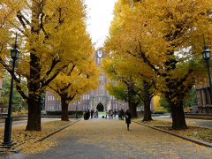 ２０１７年　晩秋　東京大学本郷キャンパス　黄葉　赤門ラーメンが旨かった。