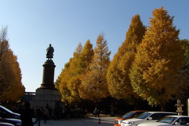 　靖国神社の外苑の銀杏並木も黄葉して落葉し始めている。参拝者が多いからであろうか、外苑の参道の石畳の上も駐車スペースに利用している。<br />　拝殿前では中央正面で参拝しようと列ができている。私は横で参拝を済ませた。<br />　回廊では池坊の生け花が展示されている。同時期には鎌倉・一条恵観山荘でも生け花の催しをしており、よほど門下生が多いから手が回るのだろう。<br />　本殿裏の庭と池は紅葉が綺麗なのだが、今回は参拝だけで済ませてきた。<br />（表紙写真は大村益次郎周辺の銀杏並木）