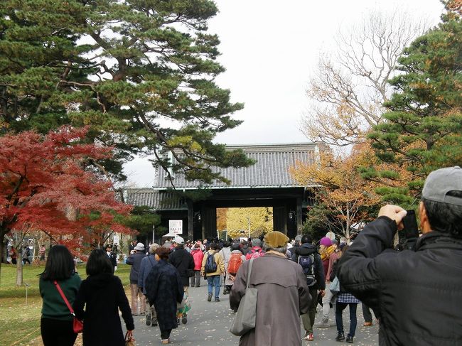 久喜市高齢者大学２６期さわやかОＢ会絵画クラブのメンバーで、皇居乾通り一般公開で乾通りの通りぬけと、皇居東御苑の紅葉を見てきました。