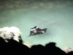 ハワイ島→オアフ島10泊12日マイルの旅6