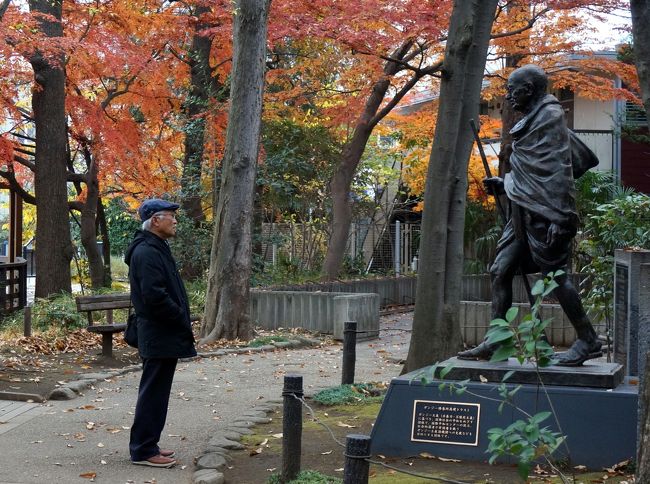 　生涯大学３５期生の親睦団体「ハッピー３５」の11月イベントで荻窪の街歩きをしました。<br />最大の目的は紅葉ですが、ついでに近場の名所をも巡ろうというのです。<br />　ルートは10時に荻窪駅を出発、長屋門、西郊ロッジング、読書の森公園、角川庭園、大田黒公園と回ります。<br />紅葉も見頃を迎えて居り、素晴らしい一日となりました。<br />　ではスタートしましょう。<br /><br />　表紙の写真は、読書の森公園のガンジー像