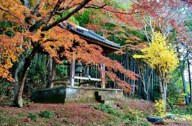 結婚式も無事終えたものの、帰国して体重計に乗ると桜木花道もびっくりなリバウンド王。<br />86kg→76kg→80kg<br />イイワケで結構なのですが、やはりタイのおいしい飯と親戚一同から食え食え攻撃を受けるタイにおいて、ダイエットは困難である事が実証されました。<br />加えてサイクリングを始めるとなかなか楽しいもので結構ハマってきたのもあり、継続して自転車を漕ぐ事に致します。<br /><br />とは言え、12月に入り冷え込み日が増えてきたなか、自宅とタイ寺ワットパクナムの往復か役所等の所要を兼ねたサイクリングしかしていなかった矢先、「しもふさ七福神」なる物を発見。<br />12月某日、晴天に恵まれた休日にレッツサイクリング！