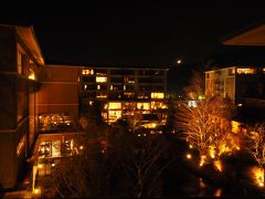 2018年1月 週末温泉旅 in ホテルハーヴェストVIALA箱根翡翠 ～ 美味しい食事と温泉を楽しむ…が、翌日は大雪 (　ﾟдﾟ) 
