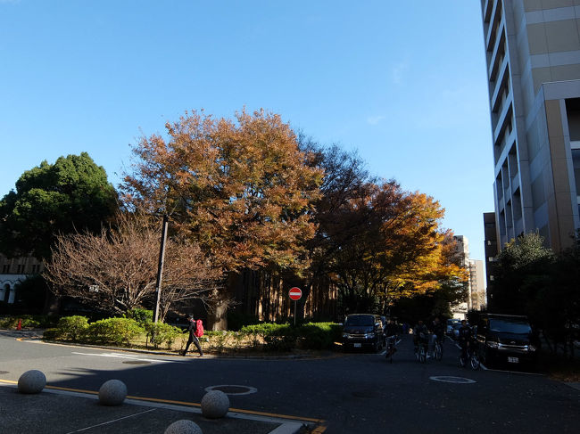 ４日は食事後　時間の都合で帰宅して５日に改めて　東京大学へ<br /><br />　４日の続きを歩きます。<br /><br />  　5日　快晴。。