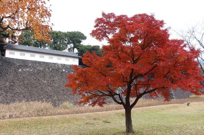 皇居の乾通りの紅葉が一般開放されているとのことなので、見学してきました。<br />自宅から、まずは都営三田線で千石までむかい、六義園の紅葉を見学し、その後南北線で後楽園へ向かい小石川後楽園の紅葉を見学しました。<br />その後、ＪＲ飯田橋駅から東京駅に向かい、皇居の乾通りの紅葉を見学してきました。<br />皇居を坂下門から乾門まで通り抜けた後は、平川門から皇居東御苑に入場し、大手門まで突き抜け、大手町から都営三田線で帰路につきました。<br />