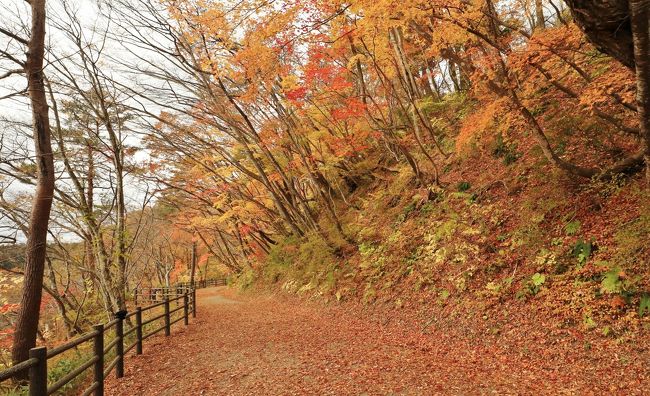 紅葉とクラゲに会いに秋の東北へ （4）東北の人気紅葉スポット　歩くも良し、観ても良しの鳴子峡