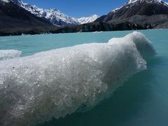 2017ニュージーランド南島トレッキングの旅③(テカポからマウントクック、氷河ボートツアー）