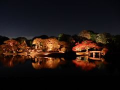 初冬、名残の紅葉を求めて東京散歩