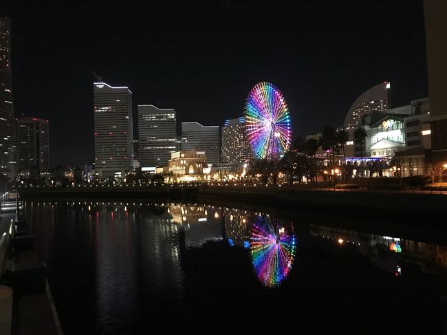 12月なので<br />クリスマス気分を味わって来ました。<br />横浜のレンガ倉庫で行われているクリスマスマーケットを見学し、<br />翌日はmaxellアクアパーク品川でドルフィンパフォーマンスを見に行きました。<br />あれこんな名前だったっけ?と思ったら12月1日から名称変更になったらしいです。<br />