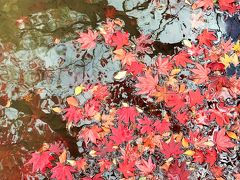 湖東三山まん中のお寺で紅葉狩り♪金剛輪寺