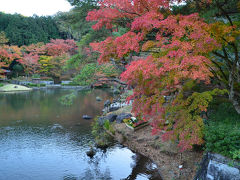 伊豆市へ 3.虹の郷の紅葉(後編) 2017.11.21