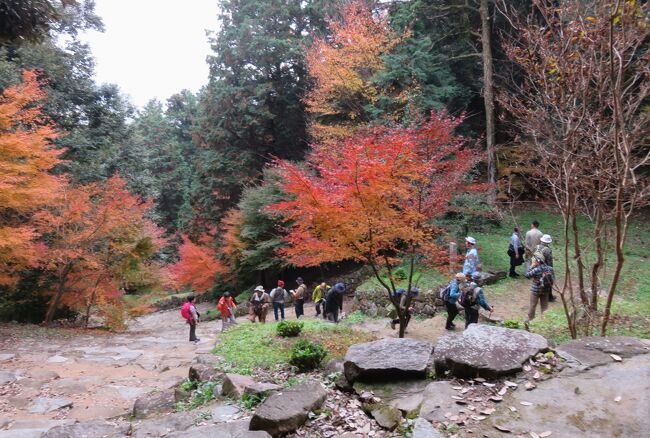 2017秋、滋賀の日本百名城(9/15)：安土城(2/8)：大手道、転用石、高石垣、井戸