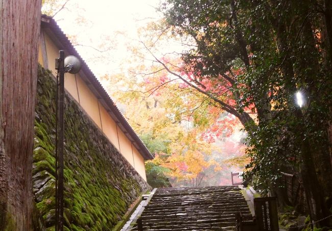 滋賀びわ湖ツアー（2017/11）第2日：長浜→竹生島→彦根→西明寺→大津