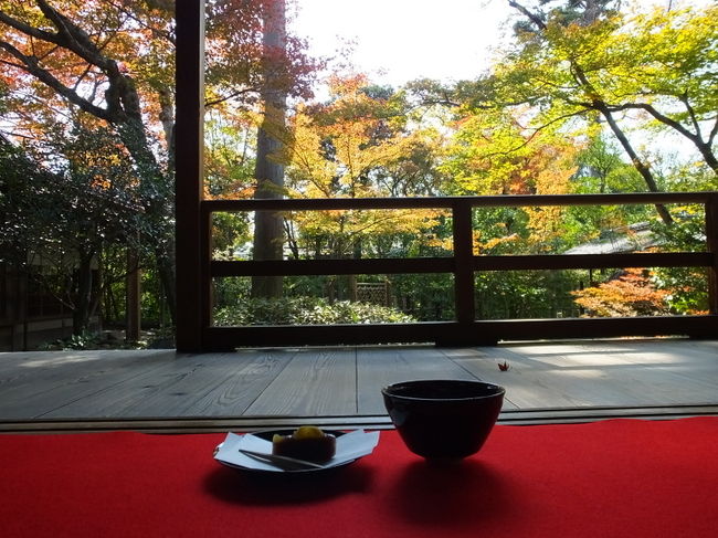 11月に入り3日・4日・11日・18日・21日・23日・24日・26日と<br />京都の紅葉を追いかけて訪問した寺社仏閣も重複場所を含めて約50箇所ありました。<br />その中からピックアップしてアップしてまいります。<br /><br />今年は、10月後半に冷え込み一気に紅葉が進むかと思っていた矢先11月に入り<br />中だるみで気温が上がりそこからまた少しづつ下がり紅葉が進んでいったというところですね。<br />結局12月2・3日が見頃となったところも多少あったようですが・・・。<br />自分が訪問したときが一番だ！と思わないと気持ちがめげそうです（笑）<br /><br />アップは日付順でお送りしますが一番手は妙心寺大法院の紅葉<br />春夏秋冬の特別公開期間に公開される場合もありますが<br />秋は11月に露地庭の紅葉として公開されます。<br />個人的にも好きな庭園です。ではごゆっくりどうぞ！<br />