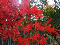 秩父の紅葉狩り　東郷公園秩父御嶽神社