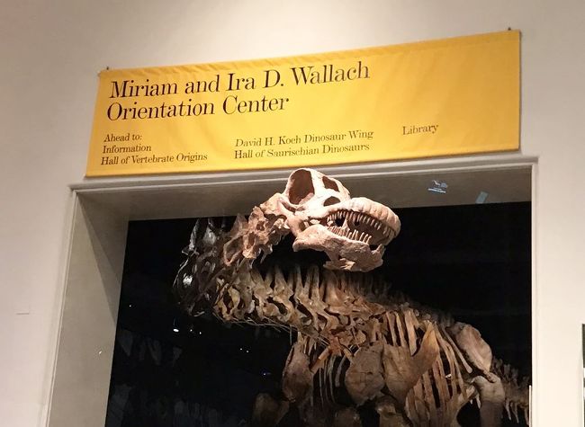 ニューヨーク6日間の旅 5 ☆ナイトミュージアムの舞台となったアメリカ自然史博物館とタイムズスクエア、ミュージカル「キンキーブーツ」☆