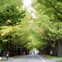 秋の北海道10日間☆最後は札幌で1泊。 やっぱりきーちゃんに会わずには帰れませ～ん