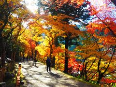 2018紅葉の香嵐渓