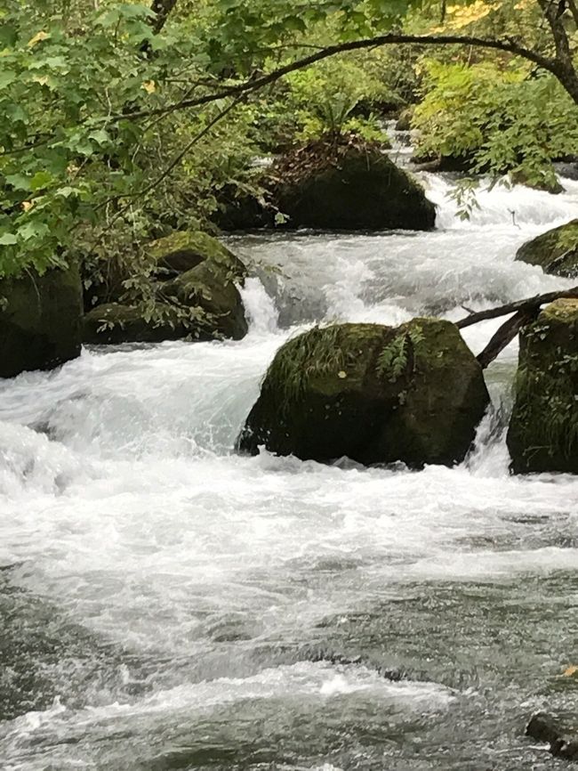 娘の遅い夏休みがとれたので4泊5日の東北旅行に行って来ました。青森に行ってみたかったので今回は青森、秋田、岩手の3県を回ります。初めての東北はとても楽しかったです。<br /><br />2016年10月14日(金) 旅行1日目<br />自宅⇒県営名古屋空港⇒青森空港⇒茅野茶屋⇒八甲田ロープウェー⇒酸ヶ湯温泉⇒奥入瀬渓流⇒十和田湖⇒八食センター⇒星野リゾート青森屋<br /><br />初日からハードな日程です。