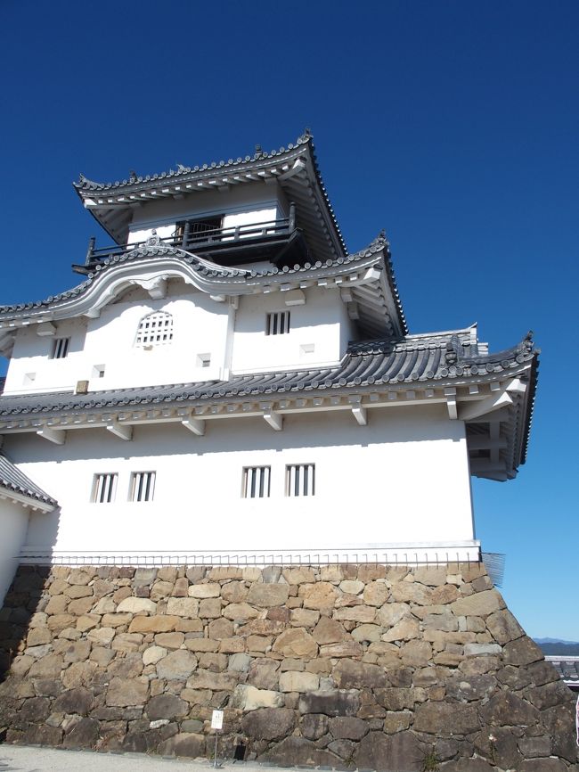 以前から気になっていた掛川にGO!なぜ気になっていたか。。。新幹線から見える掛川城、、気になりませんか笑。。他にも、うなぎが旨いとか、ハシビロコウがいるとか笑、擦れてなくて、何かしら東海道の歴史を残す、いい感じの町だなという印象です。静岡市や浜松にはない良さがあるような気がしました。<br /><br />今回は、掛川に行った後で、清水まで移動し、久々のライブハウスでロックを楽しみ帰ってきました。なかなか密度の濃い一日となり楽しめましたー!