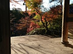 紅葉を見に来た鎌倉へ行ってきました。