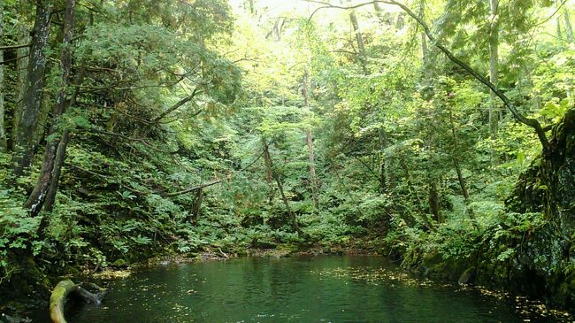 JALのマイルが溜まったので、「どこかにマイル」に家族で申込してみました。三沢・秋田・福岡・熊本が提示され、西日本はよく行っているし、東北がいいかな~っと思っていたら、「三沢」に決定しました。<br />始発便・最終便での日帰り旅行で、三沢・十和田湖に行ってきました。