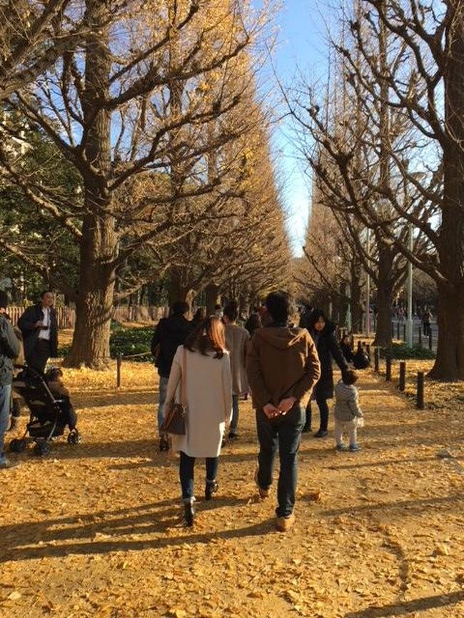 先週「Tokyo健康ウオーク2017」で、板橋・北区をウォークしましたが、その際、「定期的に歩こうか~」と夫婦で話し、今週は神宮外苑を散策して来ました。<br />神宮外苑といえば、有名な銀杏並木ですが、過去にこのイチョウの紅葉の最盛期に来たことが無いのですが、案の定今年もきっちり外し、ほぼ散り去っていました。<br />ただ、初めて神宮絵画館にも入館し、ゆったりとした休日を送りました。