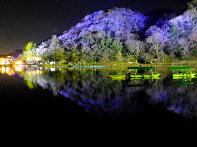 2007年に嵐山花灯路が始まって今年は10年目となります。<br />個人的には2013年以来4年ぶりに訪問しました。<br />嵐山花灯路も様変わりしていて野宮神社から大河内山荘<br />そして大河内山荘から常寂光寺へが一方通行となっていて<br />二尊院は今年ライトアップをしていませんでした。<br />竹林は人力車のえびす屋協賛で新しい場所にも散策路が出来て<br />大河内山荘の前の竹林で撮影できなかった方はここで撮影の練習なども出来ます。<br />常寂光寺から入ったため竹林で時間を取ってしまい法輪寺には行けず<br />しかも渡月橋を撮影中に終了時間が来てライトアップも消えてしまいました（笑）