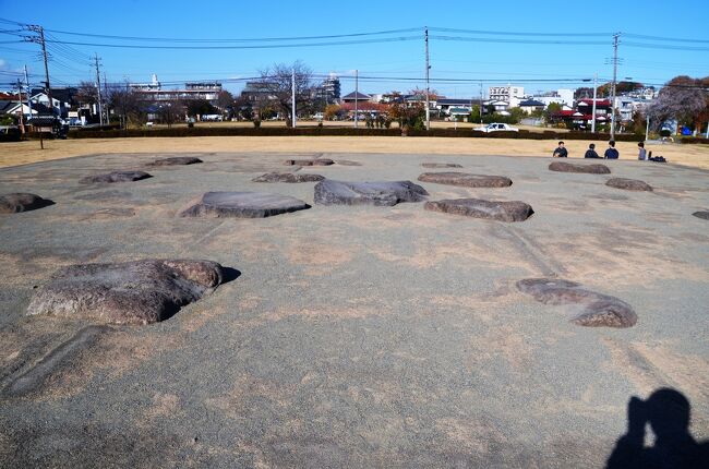 相模国分寺は741年（天平13年）に聖武天皇が日本の各国に建立を命じた寺の一つで現在は歴史公園として市民の憩いの場となっています。<br />海老名市内の相模国分寺、相模国分寺跡、大型建築跡・区画溝跡、国文尼寺講堂跡、国文尼寺金堂跡を訪ねました。<br /><br />