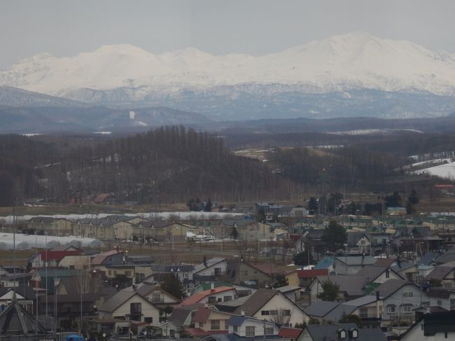 ４月８日。<br />旭川駅から美瑛、富良野の立ち寄り、小樽まで移動。小樽泊。