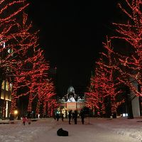 3歳娘と週末北海道【2】イルミネーションと白恋パーク★札幌編