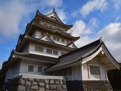 千葉県：亥鼻城、館山城、佐倉城