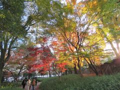 久しぶりに紅葉を求めて日比谷公園に行く②心字池付近の紅葉