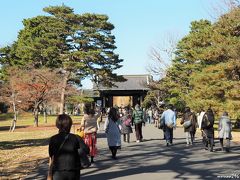 皇居乾通りの一般公開 ～ Xmasツリー♪ ～ 工事が終わった東京駅丸の内広場など