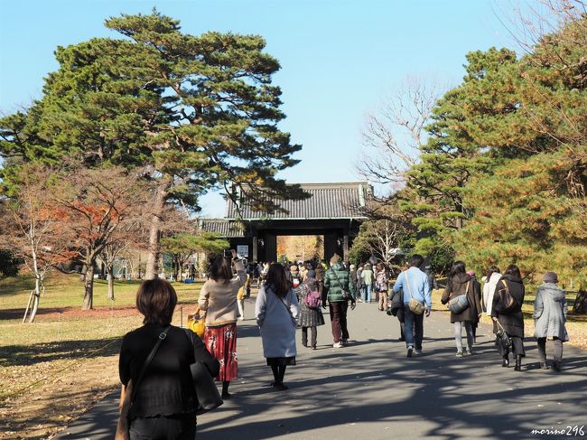 2年ぶりに行われた秋季皇居乾通りの一般公開へ出掛けました。<br />残念ながら紅葉は見頃を過ぎていましたが、待ち時間もなくスムーズに皇居を見学させてもらいました。<br />皇居の後は、日本橋、丸の内などのXmasツリーや、工事が完了した東京駅丸の内広場を見て回りました。<br /><br />今年の秋季皇居乾通りの一般公開は、12月2日~10日の9日間に226千人あまりが訪れたそうです。<br />(昨年は樹木の更新工事のため開催されず。)
