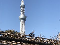 亀戸天神社で七五三