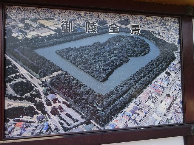 今年(2017年:平成29年)、「百舌鳥・古市古墳群」が世界遺産の推薦候補となりました。<br /> 来年、ICOMOS(イコモス)による審査・現地調査があり、順調ですと2019年に世界遺産に登録されるかもしれません。<br /> ちなみに、来年(2018年)は「長崎と天草地方の潜伏キリシタン関連遺産」が世界遺産の候補になっています。<br /> 百舌鳥は堺市、古市は羽曳野市・藤井寺市です。<br /> この10月の九州の旅のついでにと考えていた旅先でしたが、台風の影響で立ち寄れませんでした。<br /> 世界遺産に登録されてからだと大混雑が予想されるので、今のうちに訪ねます。<br /> 1日では足りませんね。主だったところを巡ったにすぎません。<br /><br />参考:百舌鳥・古市古墳群ウオーキング・マップ<br /><br />※2019.7.6世界遺産に登録されました。