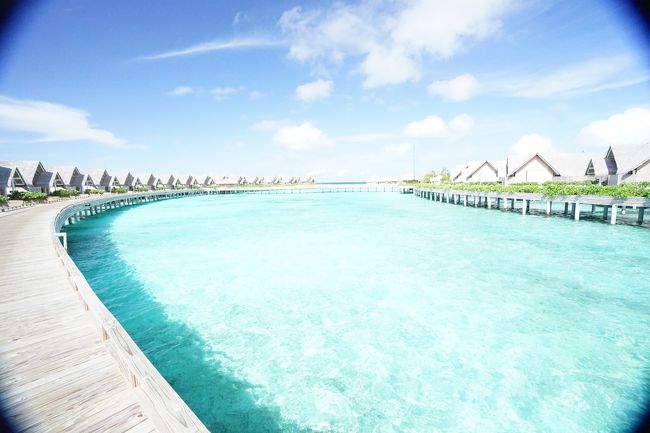 2016年に出来たばかりのモルディブリゾート Milaidhoo(ミライドゥ)へ行ってきました。まだまだ知られていない、新しいリゾートで日本人はほとんどいませんでした。価格設定が高めで、リゾートでお籠りのんびりするのが良いリゾートかな。アクティビティたくさんしたり、スノーケル(ハウスリーフはだいぶやられていた)もたくさんという感じではなかった。部屋の快適さはピカイチ、食事も文句なく美味しかったのは印象深いです。