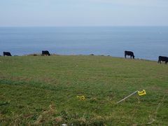 九州オルレ宗像大島コースを歩く【あえて大島に泊まる旅・１日目】