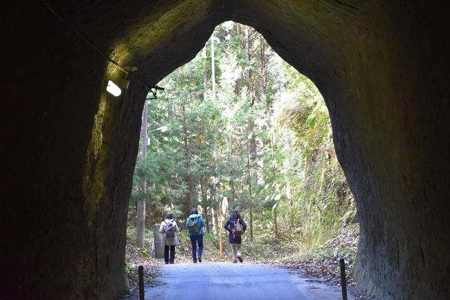 千葉県房総の養老川上流には素掘りのトンネルがいくつかあります。<br />房総の地質は泥岩が多く比較的容易に掘ることができるのです。<br />月崎~飯給間の「房総ふれあいの道」をGoogle航空写真で見ると、複数の尾根の下を3つのトンネルで横断していることがわかります。<br />これらは明治期の素掘りトンネルで、独特の形と壁面の美しい模様が別世界に来たような印象を与えます。<br /><br />今日の午後は、月崎から素掘りトンネルを散策し、小湊鐵道の里山風景・真高寺山門の「波の伊八」彫刻・飯給の「世界一大きなトイレ」などを訪れ、上総中野でいすみ鉄道の懐かしい国鉄車両に会います。<br /><br />旅行記は、小湊鐵道HP、森ラジオステーションTwitter、千葉日報オンライン「千葉地理学会連載 おもしろ半島ちばの地理再発見 2017.12.12」、飯給にある真高寺HP、中房総国際芸術祭「いちはらアートxミックス」HP などを参考にしました。<br />