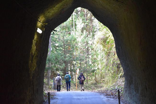 千葉県房総の養老川上流には素掘りのトンネルがいくつかあります。<br />房総の地質は泥岩が多く比較的容易に掘ることができるのです。<br />月崎～飯給間の「房総ふれあいの道」をGoogle航空写真で見ると、複数の尾根の下を3つのトンネルで横断していることがわかります。<br />これらは明治期の素掘りトンネルで、独特の形と壁面の美しい模様が別世界に来たような印象を与えます。<br /><br />今日の午後は、月崎から素掘りトンネルを散策し、小湊鐵道の里山風景・真高寺山門の「波の伊八」彫刻・飯給の「世界一大きなトイレ」などを訪れ、上総中野でいすみ鉄道の懐かしい国鉄車両に会います。<br /><br />旅行記は、小湊鐵道HP、森ラジオステーションTwitter、千葉日報オンライン「千葉地理学会連載 おもしろ半島ちばの地理再発見 2017.12.12」、飯給にある真高寺HP、中房総国際芸術祭「いちはらアートｘミックス」HP などを参考にしました。<br />