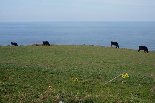 　世界遺産「宗像・沖ノ島と関連遺産群」が認定され、構成要素の一つとして俄然注目を浴びている宗像大島。福岡からだと身近すぎて、日帰りで気軽に行く場所というイメージです。<br />　そんな大島に「あえて」泊まれば、また深い魅力に触れられるのではなかろうか？というわけで寒さも身に染みるようになってきた11月、身近な世界遺産を１泊２日訪ねてみました。<br /><br />　１日目は、韓国・済州島発祥のトレッキング「九州オルレ」の、宗像・大島コースを歩きます。