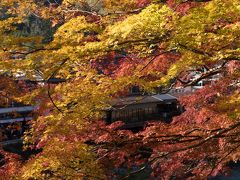 香嵐渓の紅葉