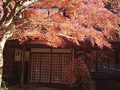 まだ大丈夫かな？鎌倉の紅葉