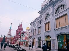 2017年11月★２度目のモスクワ★ピョートル１